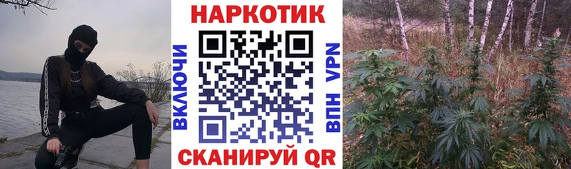 Купить Гашиш  Каннабис  Мефедрон  Сосновый Бор