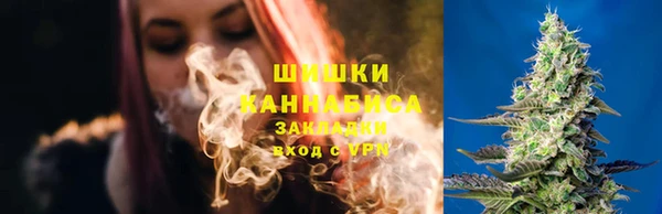 прущая мука Дмитриев
