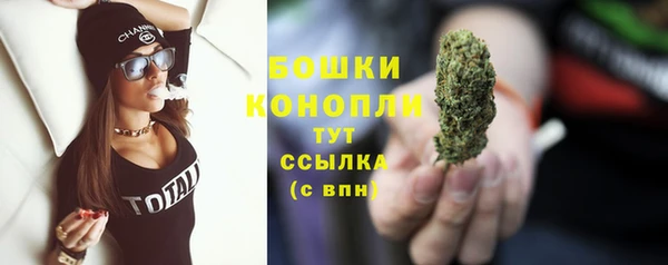 прущая мука Дмитриев