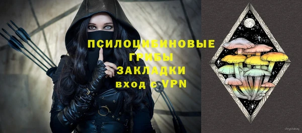 стаф Дмитровск